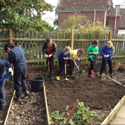 Class 3 Gardening 21/10/21