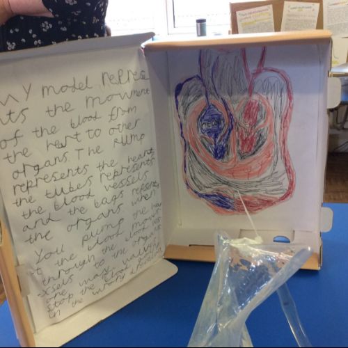 Science Week 2023