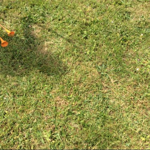 IMG19624)