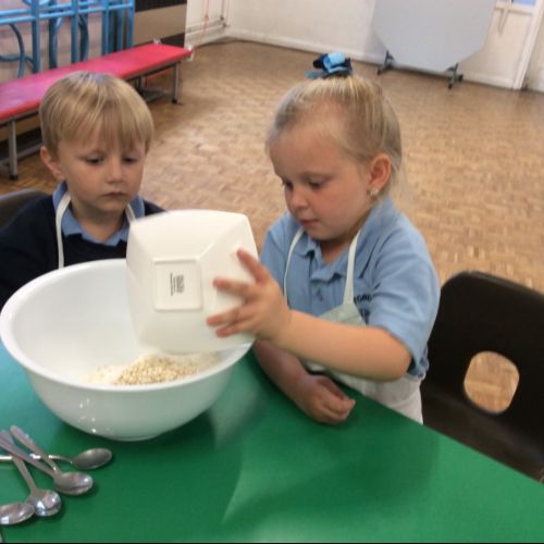 IMG0291